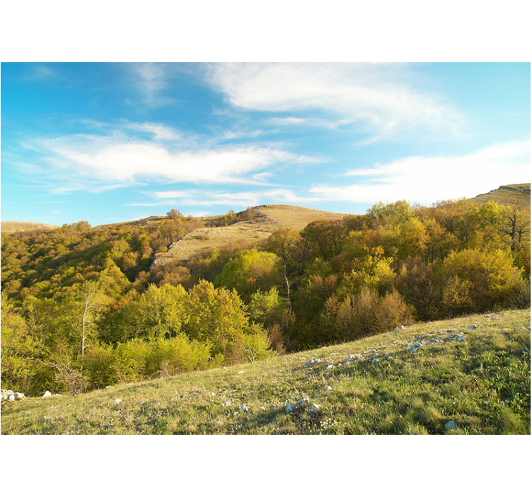 Peizažo sienos freska riedančių kalvų vaizdas - „Tenstickers“