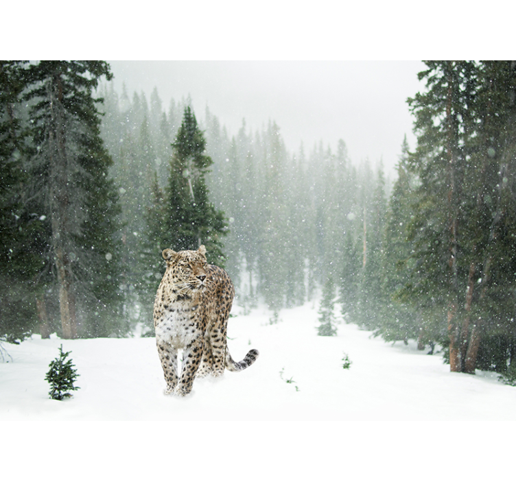 3d leopardo gyvūnų sieninė tapyba - „Tenstickers“