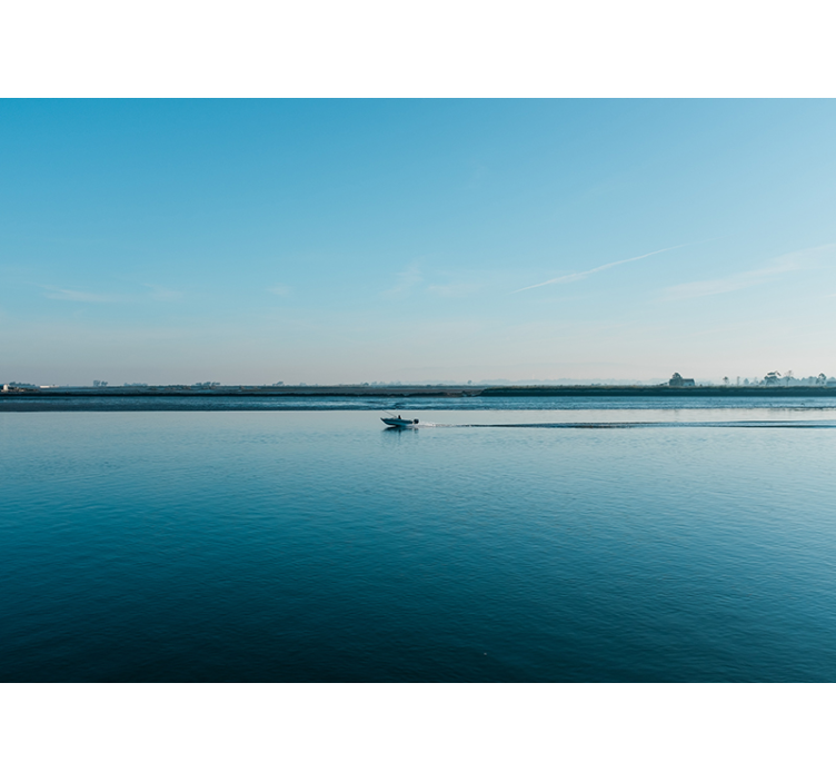 žvejyba aveiro po jūros fototapetai - „Tenstickers“