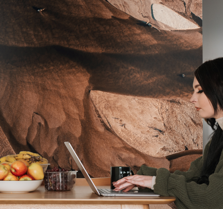 Abstraktus sienų freska smėlio tekstūromis - „Tenstickers“