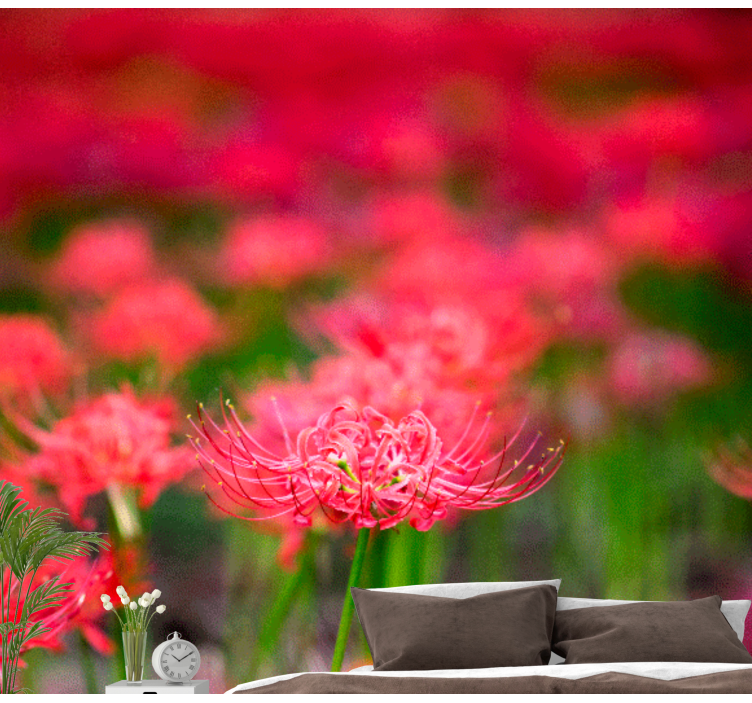 Aguonų sienų freska gyvybingos raudonos gėlės - „Tenstickers“