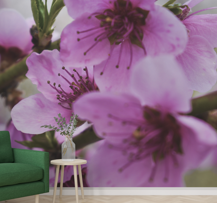 Aguonų sienų freska spindinčiomis rožinėmis gėlėmis - „Tenstickers“