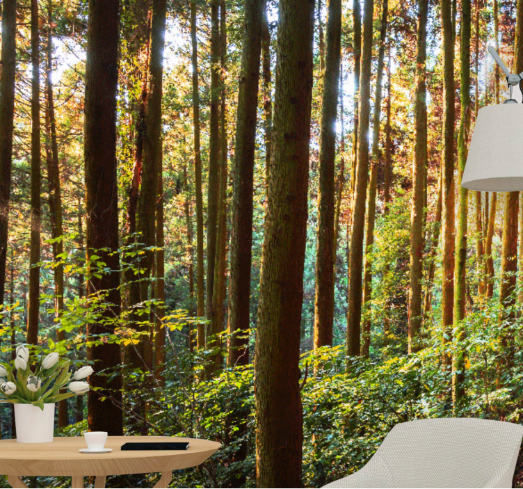 Aukštų medžių kamienų miško sienų tapyba - „Tenstickers“