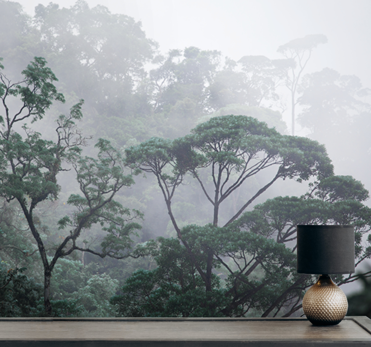 Dideli medžiai ant miglotos dienos miško sienų fototapetai - „Tenstickers“