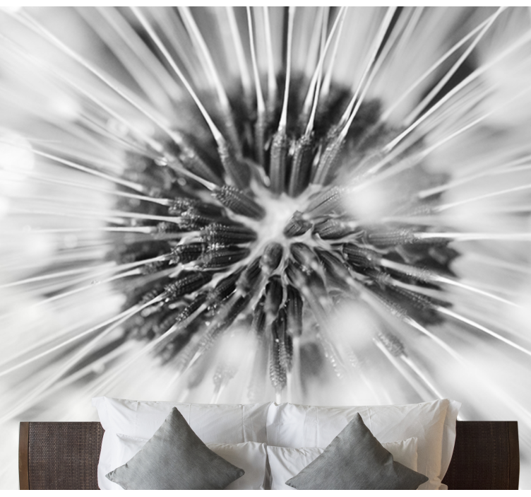 Elegantiškas juodai baltas kiaulpienių sieninis paveikslas - „Tenstickers“