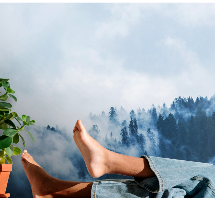 Gamtos sienų tapyba miško rūke peizažas - „Tenstickers“