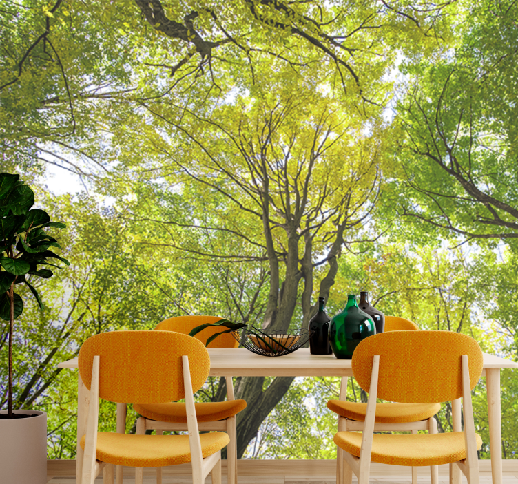 Gamtos sienų tapyba vešlus miško skliautas - „Tenstickers“