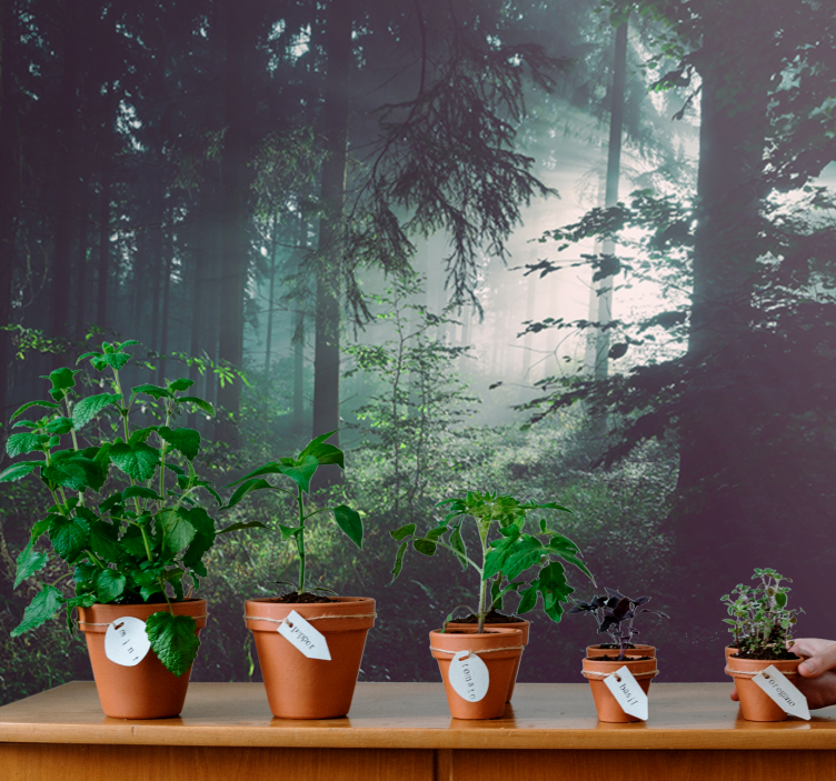 Gamtos sienų tapyba Žaliuojančio miško peizažas - „Tenstickers“