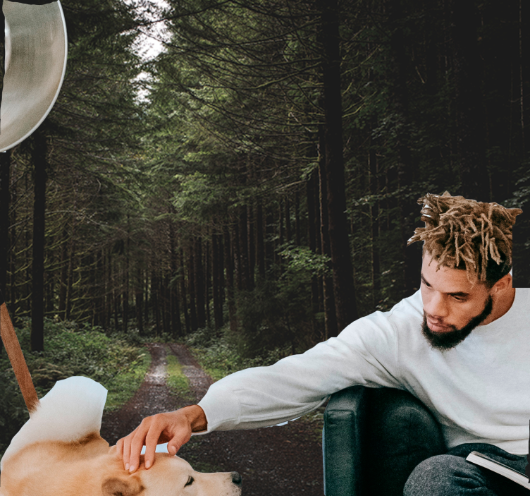 Gamtos sienų tapyba Žaliuojančiu miško taku - „Tenstickers“