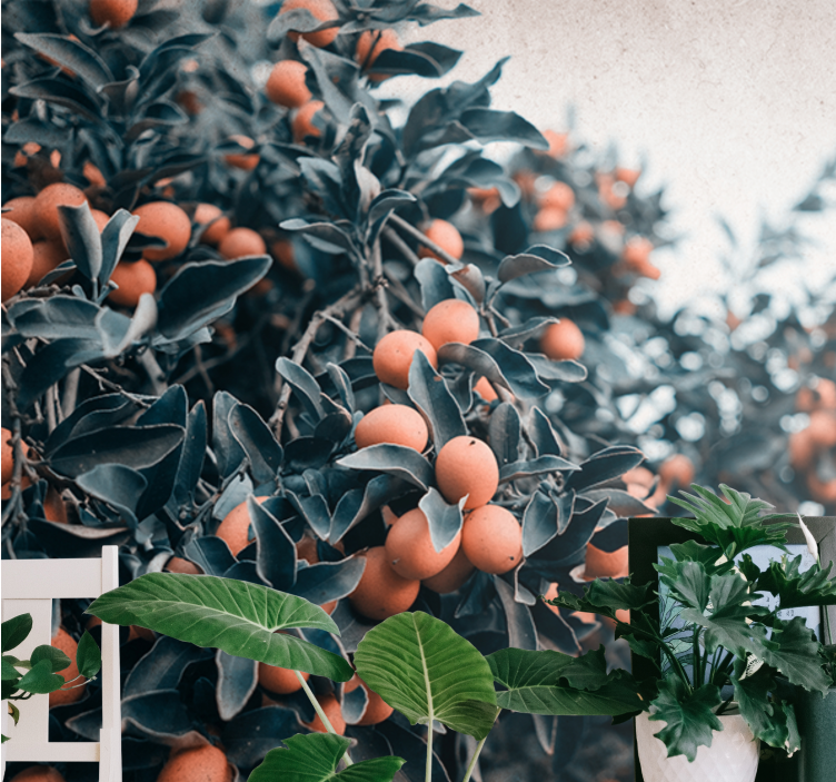 Gėlių sienos freska citrusinių vaisių šaka - „Tenstickers“