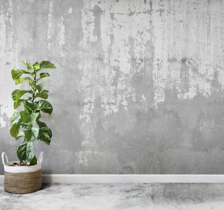 Neapdoroto betoninio akmens sienos freska - „Tenstickers“