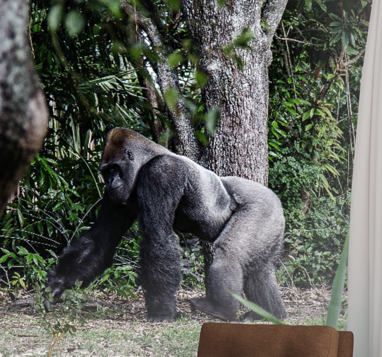 Gyvūnų sienų freska didingas gorilos pasivaikščiojimas - „Tenstickers“