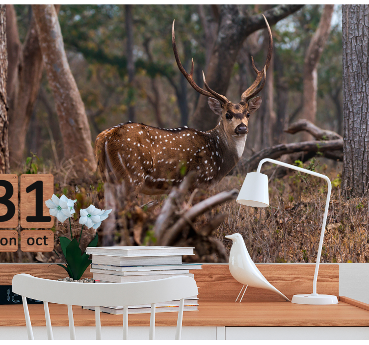 Gyvūnų sienų freska elegantiškas dėmėtas elnias - „Tenstickers“