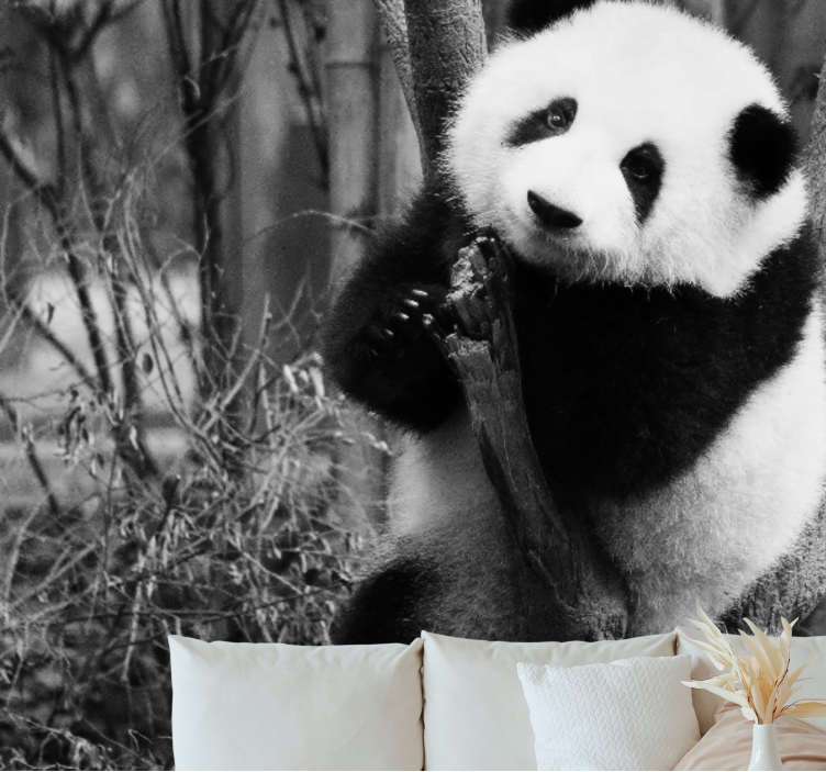 Gyvūnų sienų freska panda ant medžio - „Tenstickers“