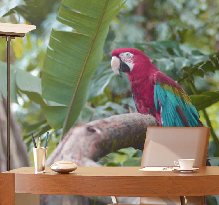 Gyvūnų sienų freska spalvingas makakas papūga - „Tenstickers“