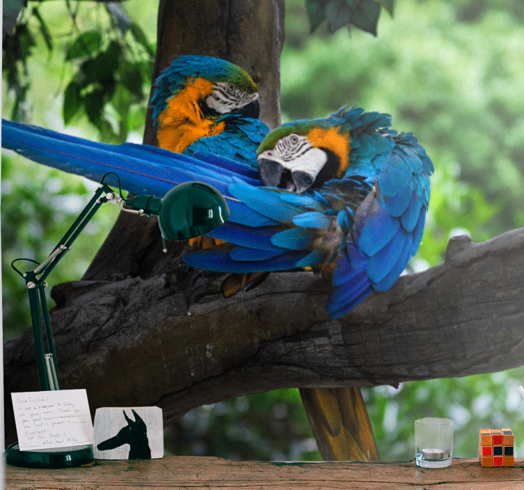 Gyvūnų sienų freska spalvingų makakų pora - „Tenstickers“
