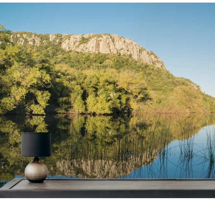 Lavallejos gamtos sieninė tapyba - „Tenstickers“