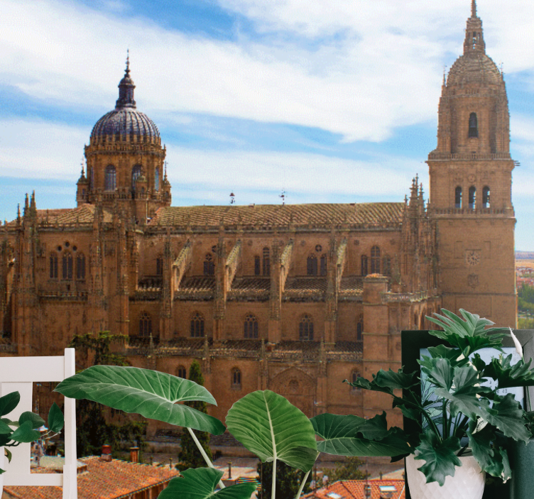 Madrido sienų freska istorinės katedros vaizdas - „Tenstickers“