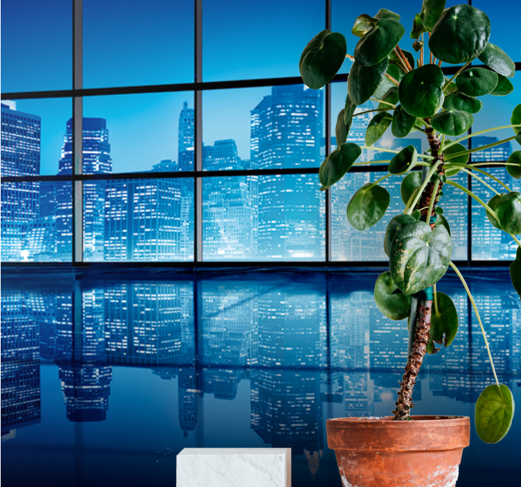 Miesto sienų freska naktinės miesto peizažas - „Tenstickers“