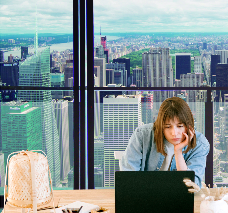 Miesto sienų freska niujorko panoramos vaizdas - „Tenstickers“