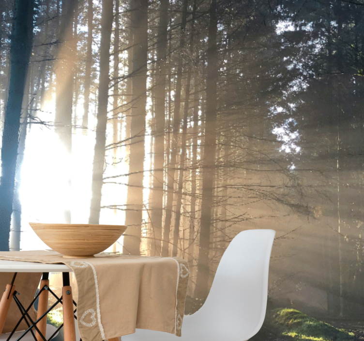 Miško sienos freska apšviestas miško takas - „Tenstickers“