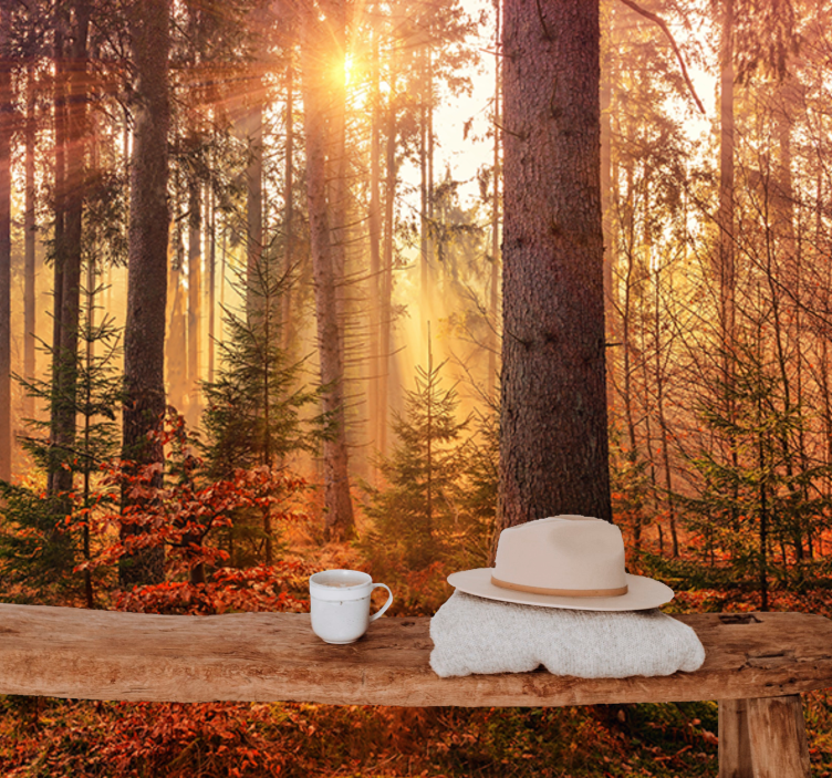 Miško sienos freska saulės apšviesto miško šviesa - „Tenstickers“