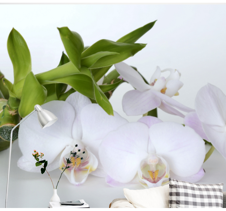 Orchidėjų sienų freska elegantiškas orchidėjų aranžavimas - „Tenstickers“