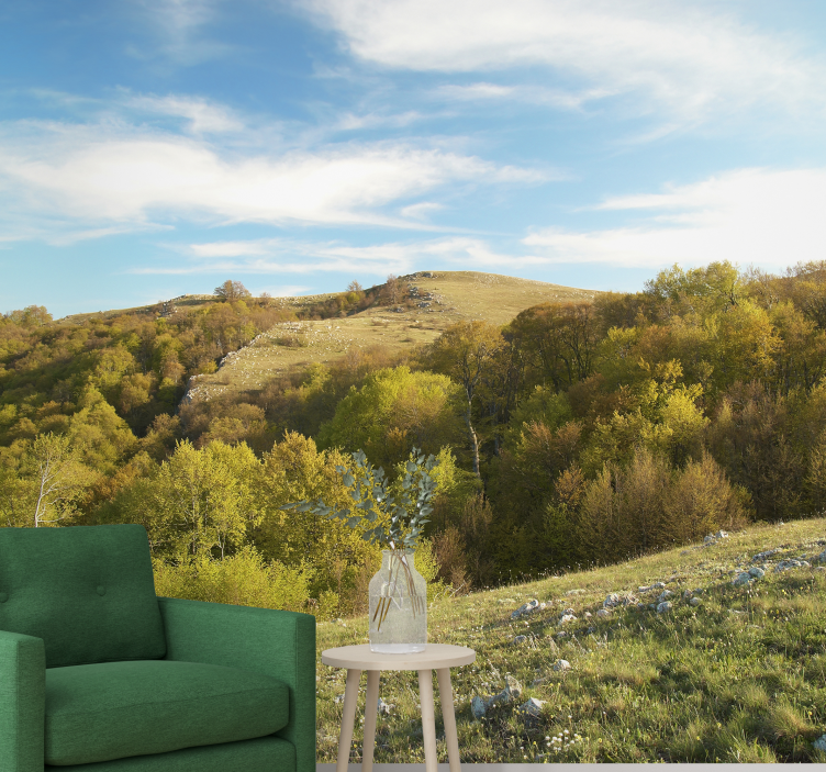 Peizažo sienos freska riedančių kalvų vaizdas - „Tenstickers“