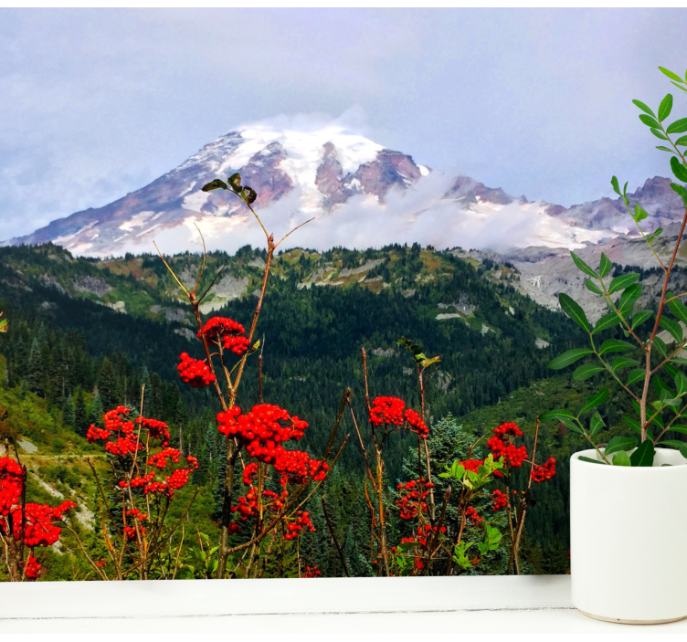 Peizažo sienos freska su snieguotu kalnu - „Tenstickers“