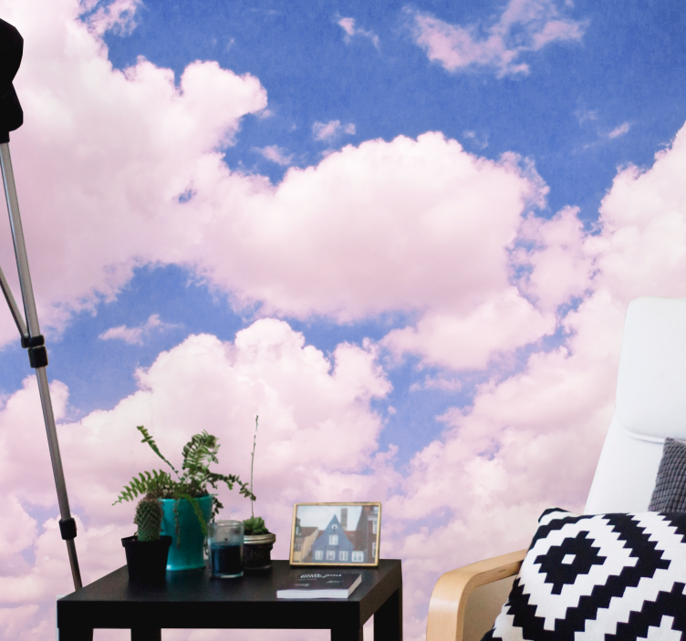 Pūkuoti rožiniai debesys dangaus sienos freska - „Tenstickers“