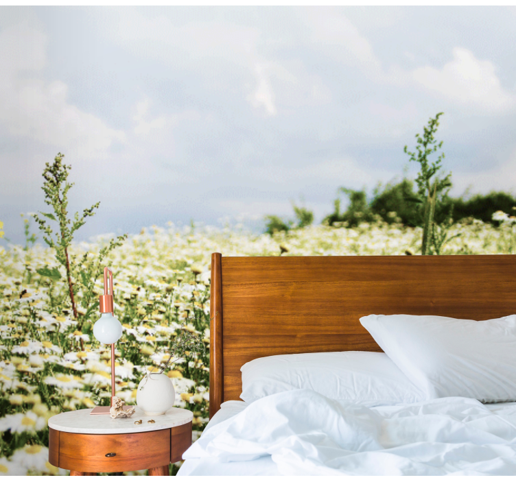 Rami ramunių pieva gamtos sieninė tapyba - „Tenstickers“