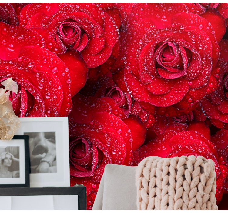 Raudona rožė su vandens lašais sieninė tapyba - „Tenstickers“