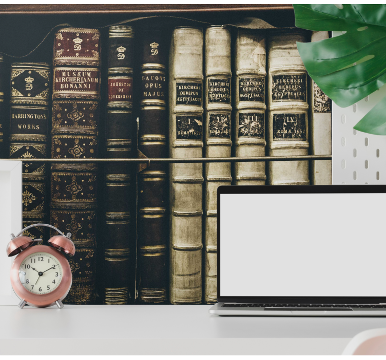 Senovinių knygų spintelių sieninis paveikslas - „Tenstickers“