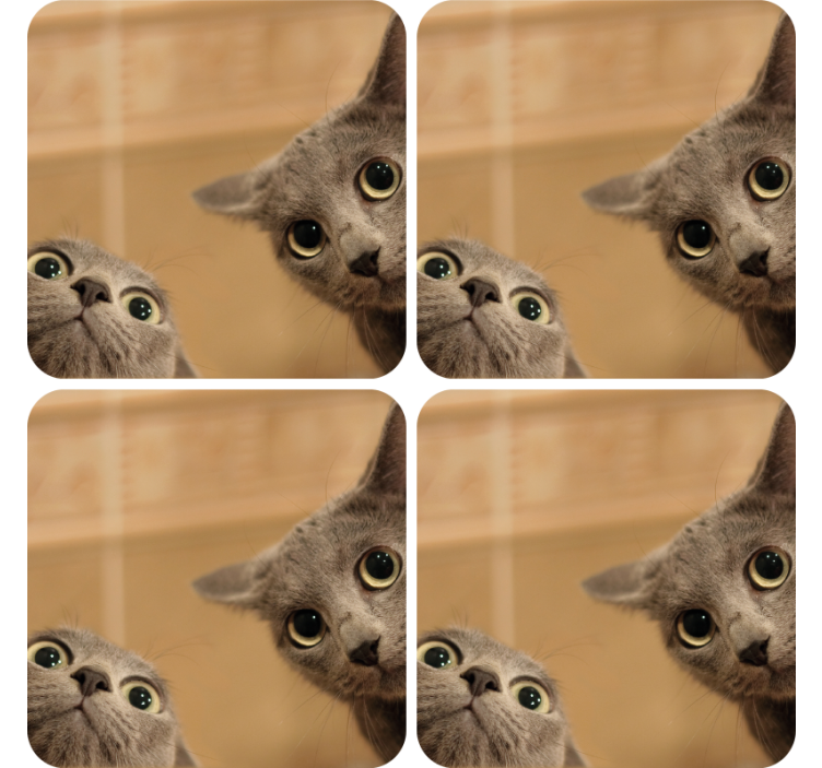 Smalsūs kačių veidai geek padėkliukas - „Tenstickers“