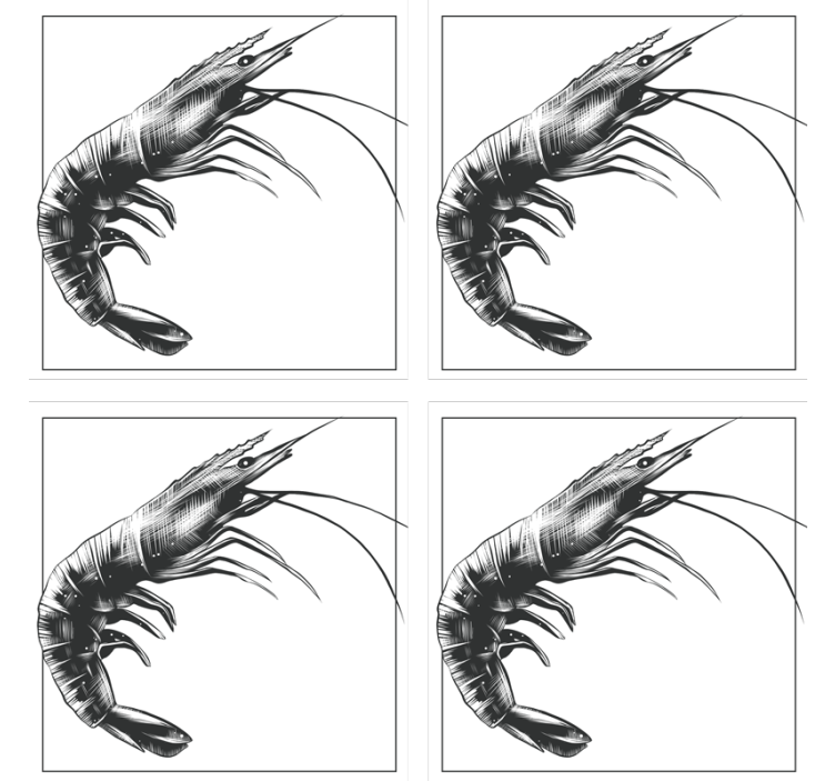 Gražus rankomis nupieštas krevečių padėkliukas - „Tenstickers“