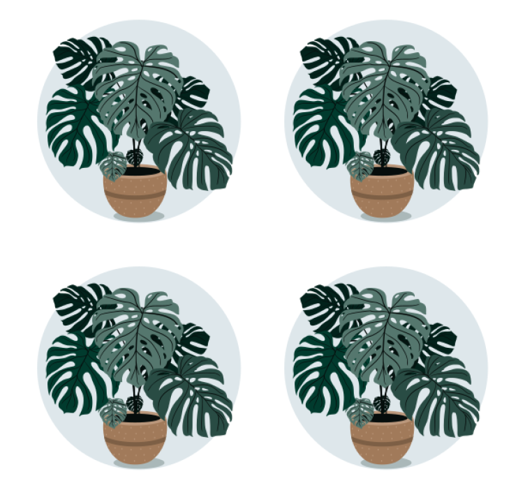 Modernus padėkliukas su monstera augalo iliustracija - „Tenstickers“