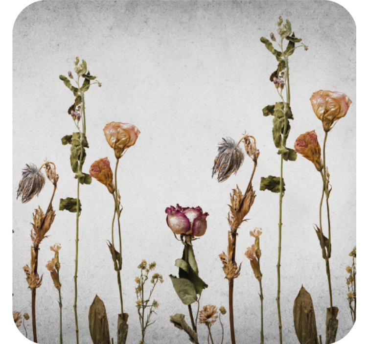 Skandinaviško stiliaus sausų augalų modernus padėkliukas - „Tenstickers“