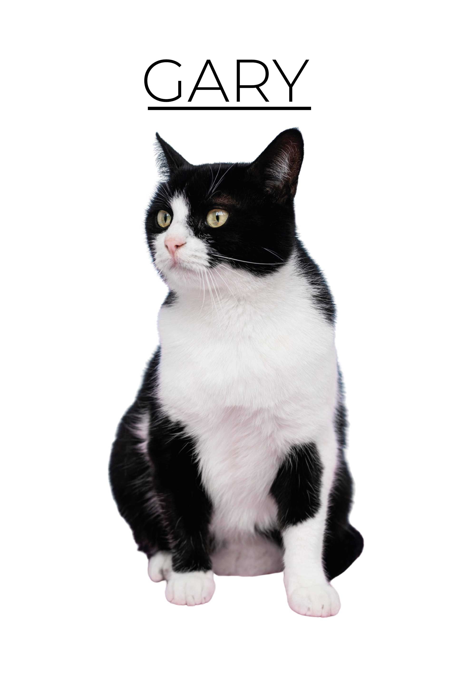 Personalizuotas minimalistinis Plakatai kiti gyvūnai - „Tenstickers“