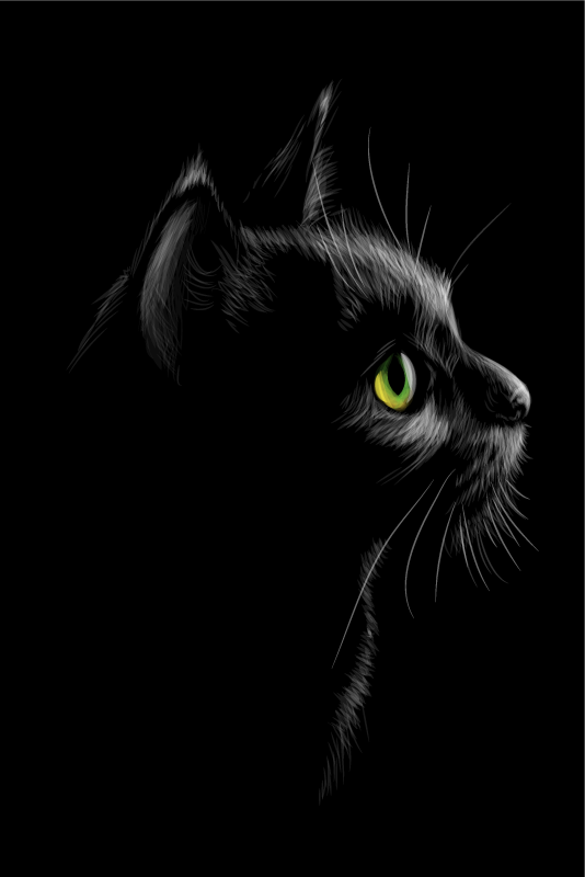 Plakatai svetainė Žaliakates - „Tenstickers“