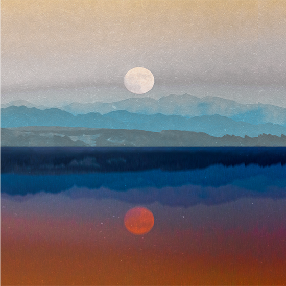 Plakatai svetainė gražaus mėnulio dizainas - „Tenstickers“