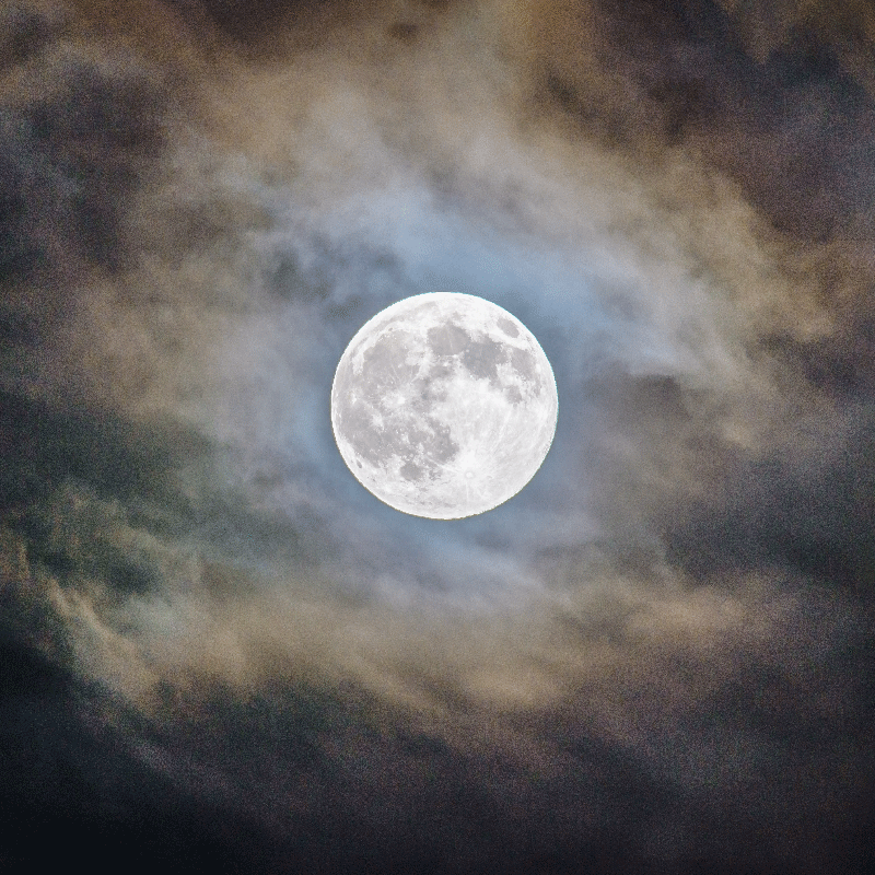 Plakatai svetainė pilnaties naktis - „Tenstickers“