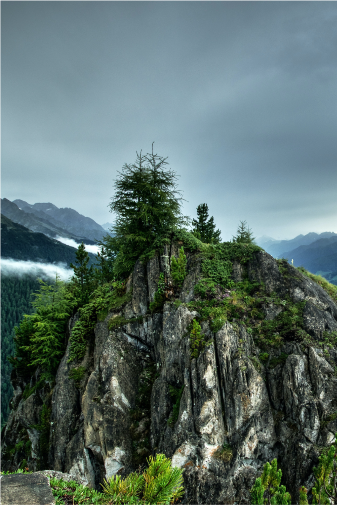 Plakatai svetainė vieniša uola žaliame miške - „Tenstickers“