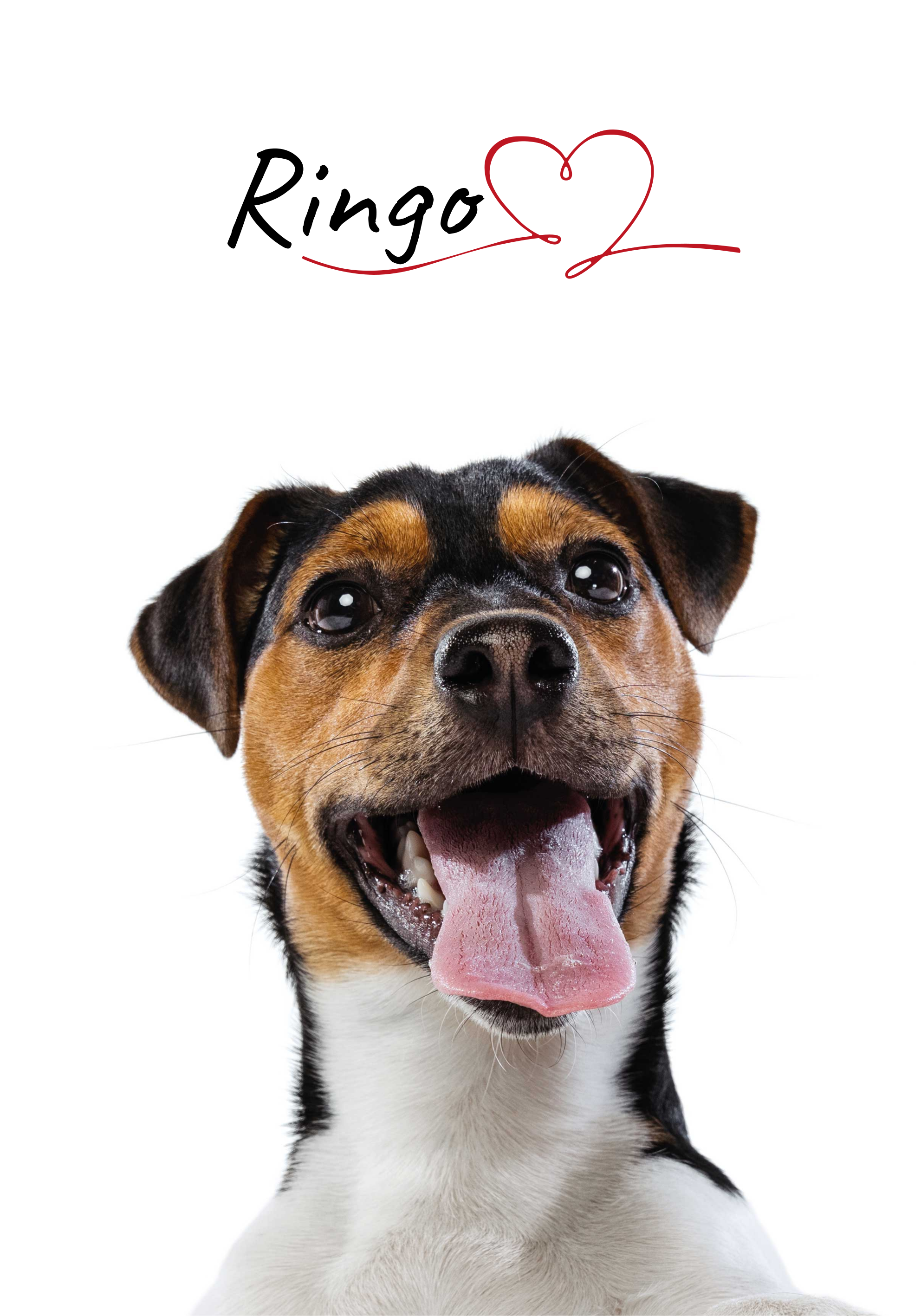 Individualus šunų meilės plakatas ant sienos - „Tenstickers“