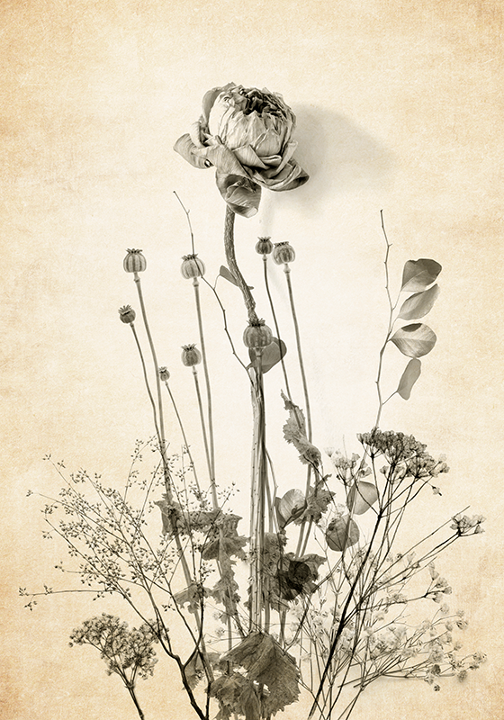 Gėlių puokštė smėlio spalvos fone Plakatai gėlės - „Tenstickers“