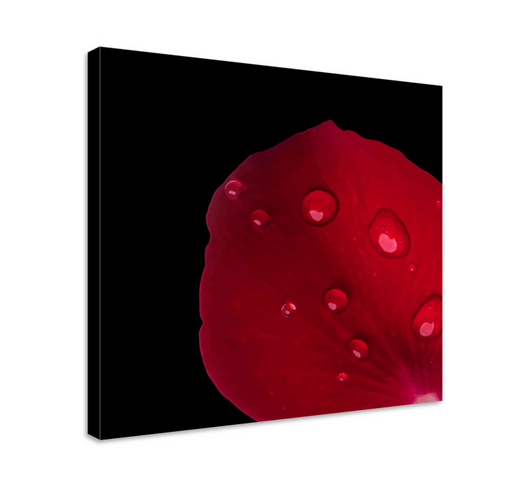 Raudonų rožių raštas su vandens lašų gėlių drobėmis - „Tenstickers“