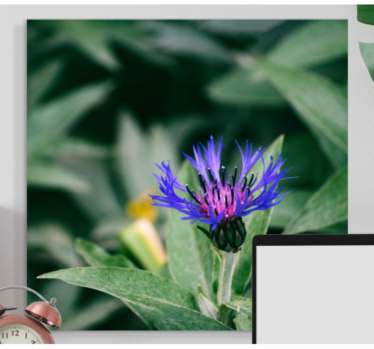 Rugiagėlė gamtos gėlių drobėje - „Tenstickers“