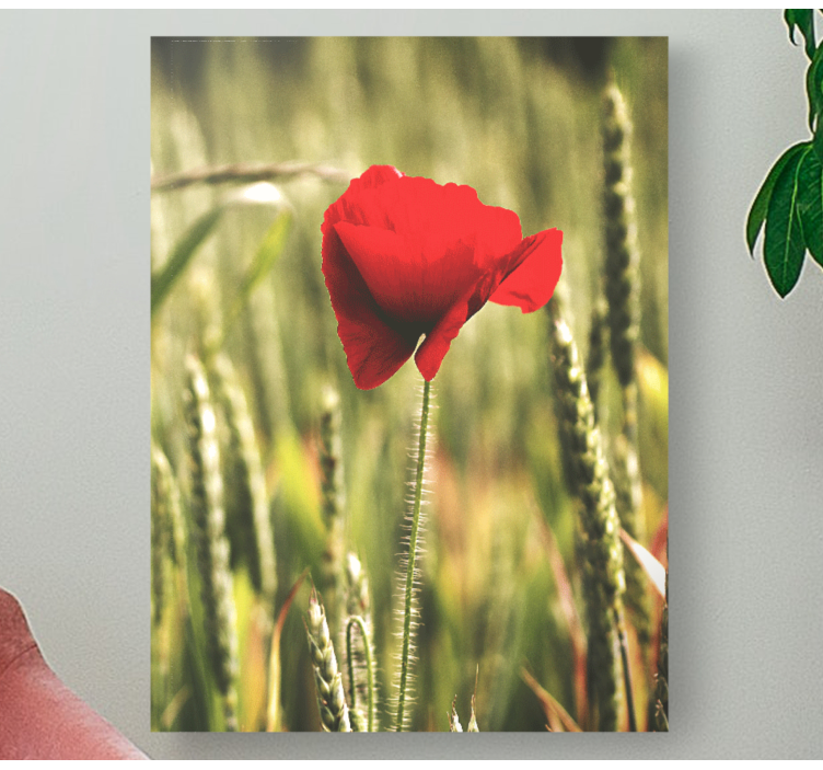 Viena aguona su kviečių žiedų drobe - „Tenstickers“