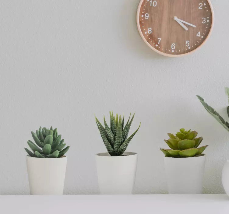 3d kaktusų vazonų sieniniai lipdukai - „Tenstickers“