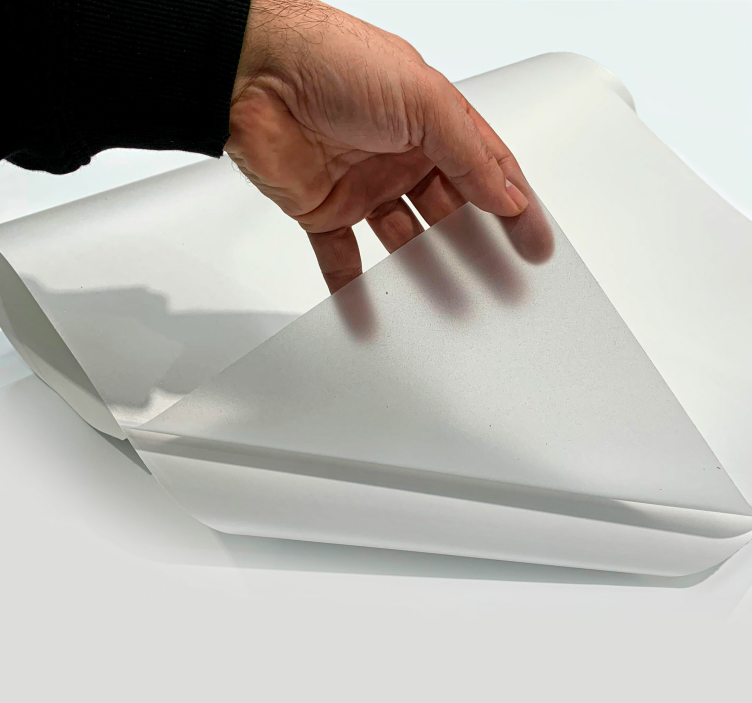 Transliučioji bazė lipdukas ant stiklo - „Tenstickers“