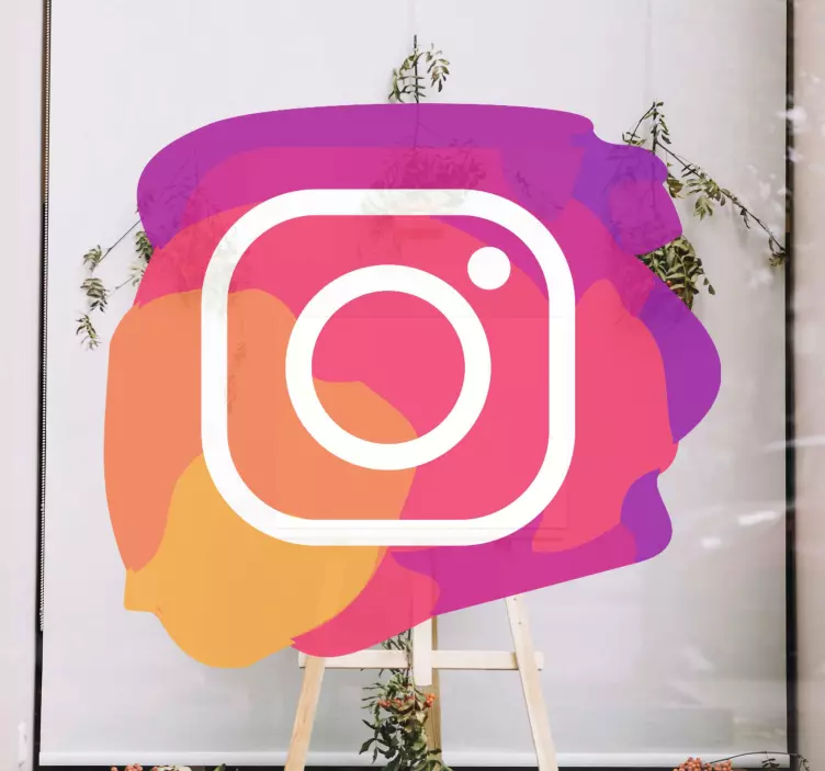 Instagram piktogramos lango vinilo lipdukas - „Tenstickers“